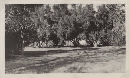 View of Hayden Ranch, landscaped grass and trees
