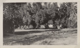 View of Hayden Ranch, landscaped grass and trees