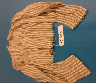 Shirt Waist