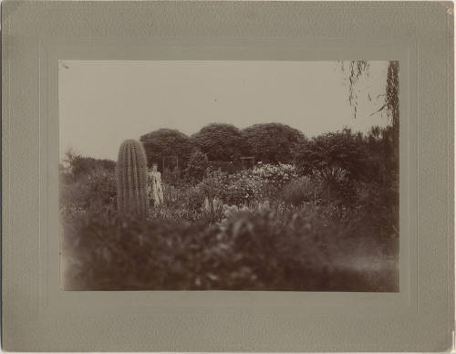 Photo of the Johnson family outside of their farm in Tempe