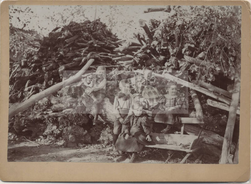 Photograph of Johnson Family Children infront of "Granma Broomell's Woodpile"