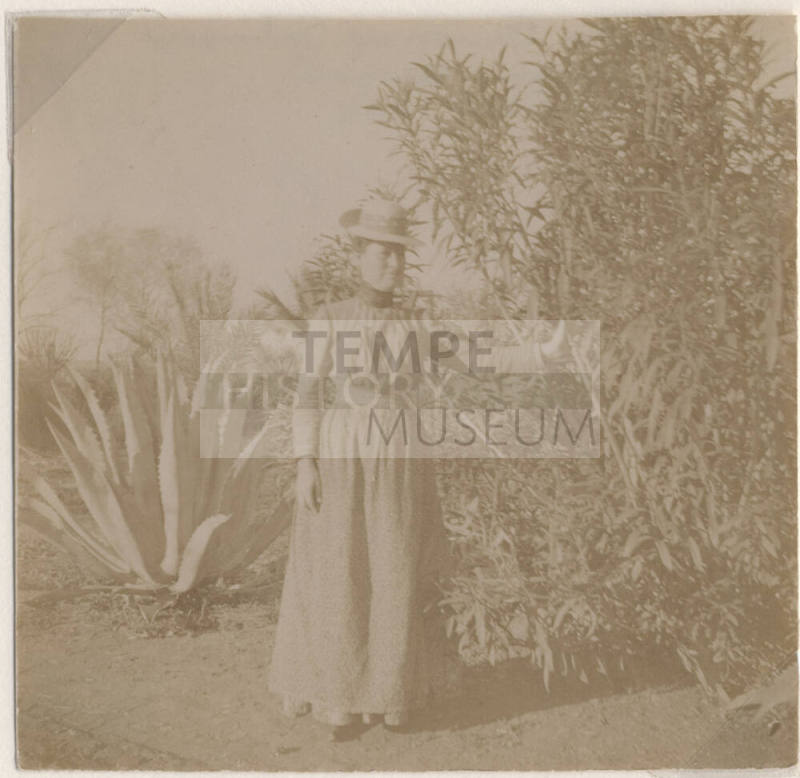 Photograph of Mary Etta Johnson in Tempe, Arizona