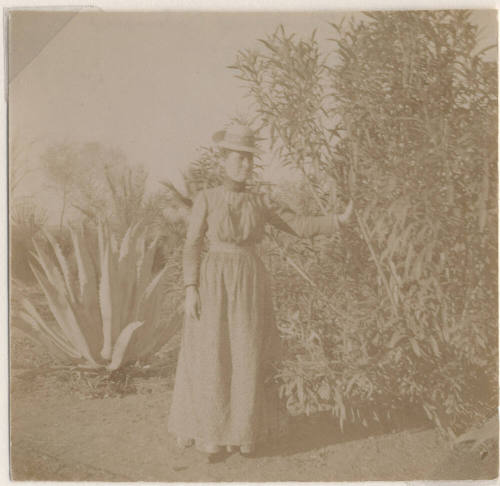 Photograph of Mary Etta Johnson in Tempe, Arizona
