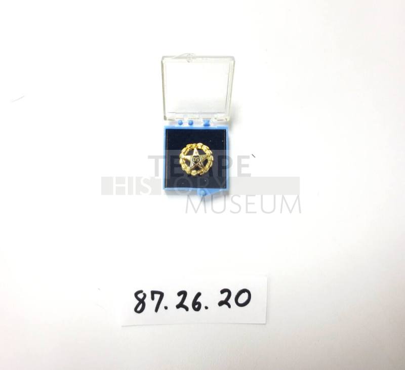 Star pin