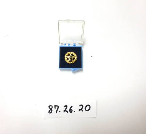 Star pin