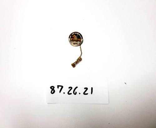 Eastern Star Pin