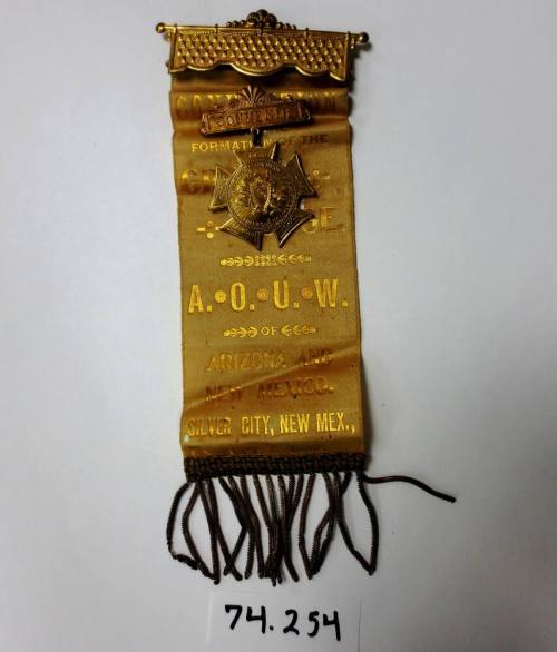Delegate's badge