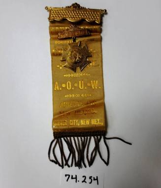 Delegate's badge