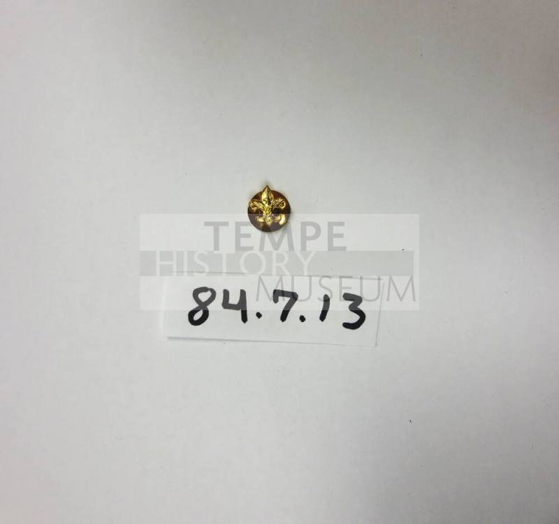 Boy Scout Lapel Pin