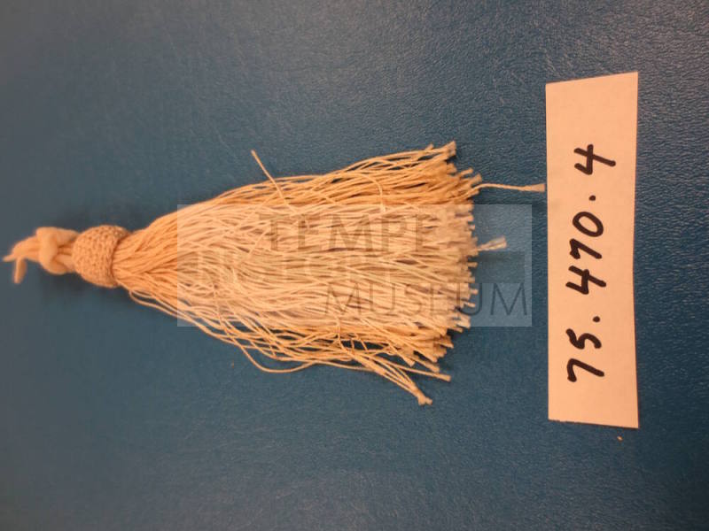 Fringe Remnant