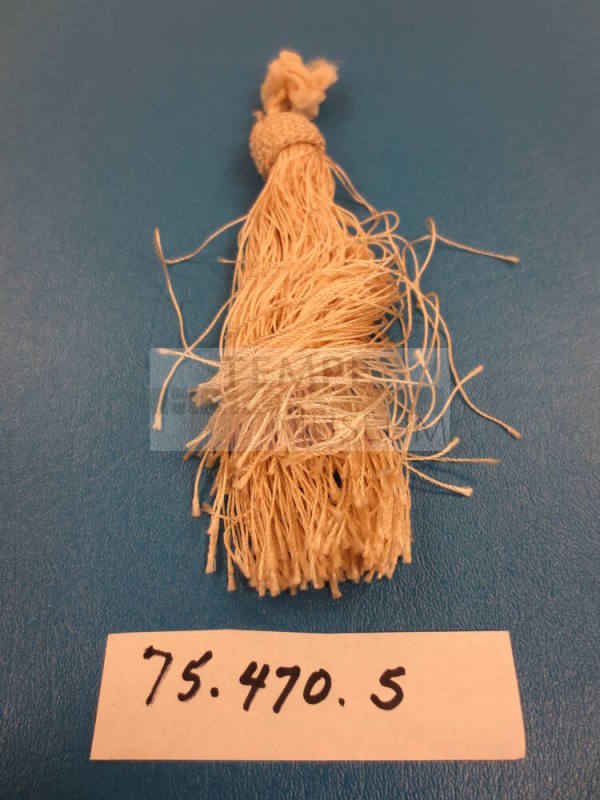 Fringe Remnant