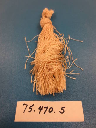 Fringe Remnant