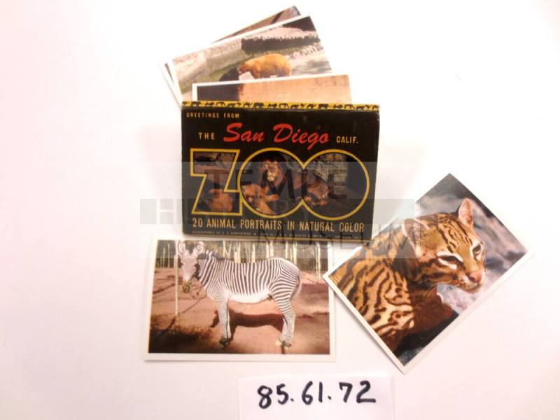 The Sandiego Zoo Animal Portraits