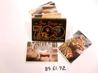 The Sandiego Zoo Animal Portraits