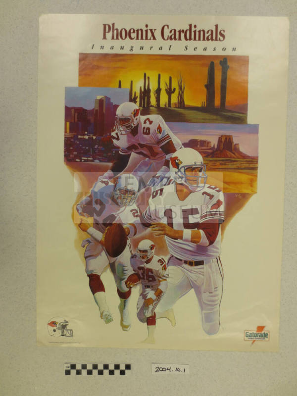 "Phoenix Cardinals Inaugural Season"