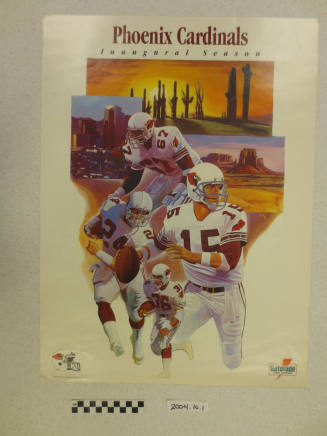 "Phoenix Cardinals Inaugural Season"