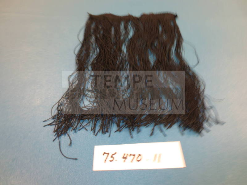 Remmant Of Fringe