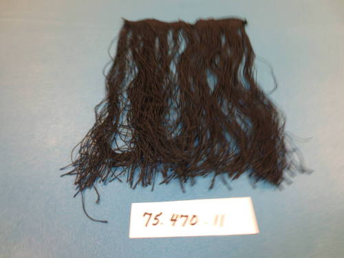 Remmant Of Fringe