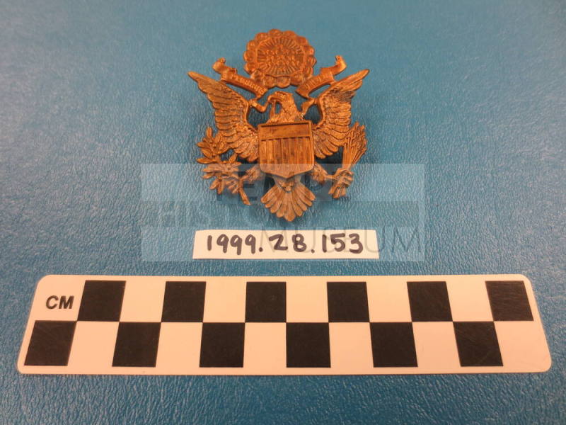 US Army officer's hat insignia pin
