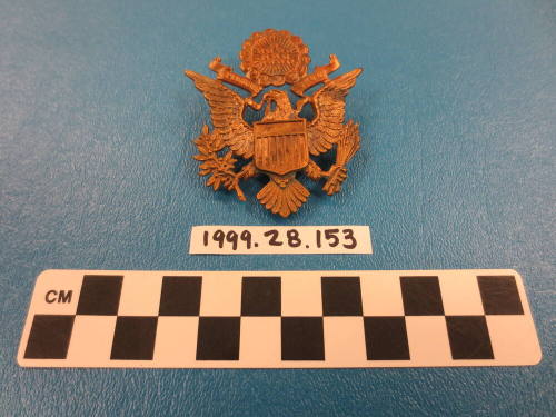 US Army officer's hat insignia pin