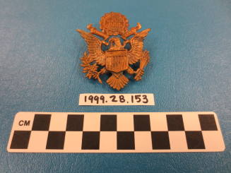 US Army officer's hat insignia pin