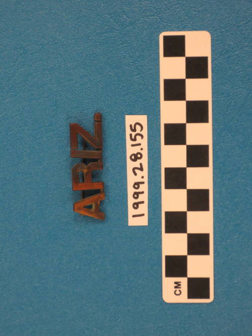 Uniform Collar Pin "ARIZ" Guard