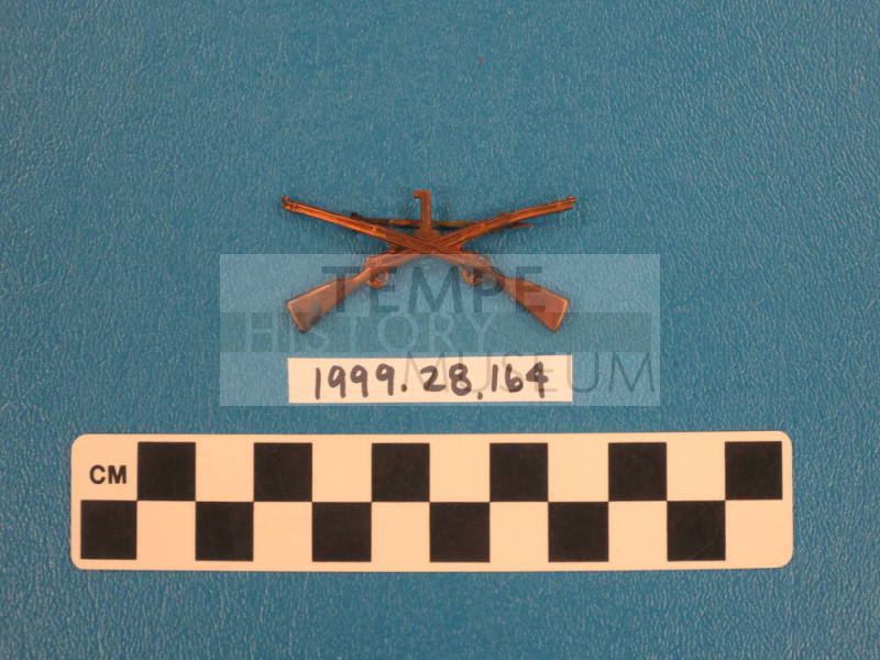 First Infantry Regiment Collar pin AZ Guard