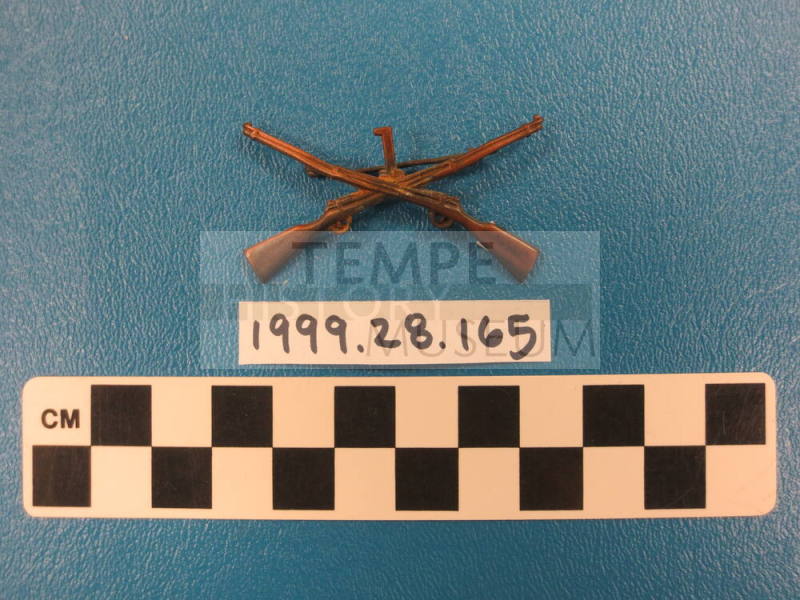 First Infantry Regiment Collar pin AZ Guard