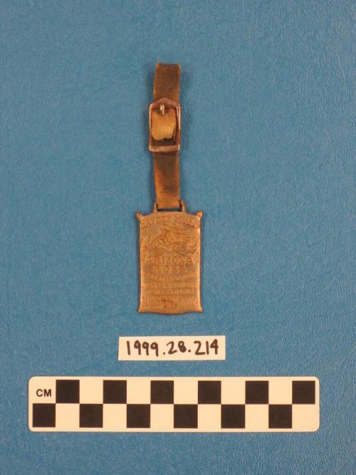 Metal fob on a leather strap