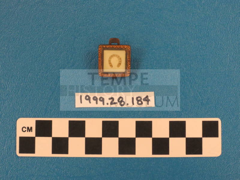 Lapel pin