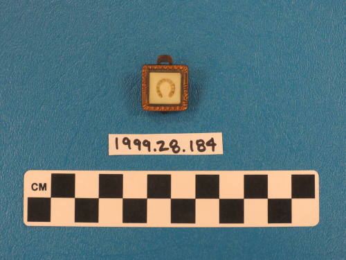 Lapel pin