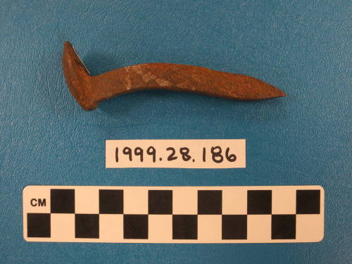 Tent Peg