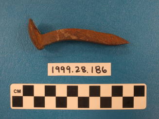 Tent Peg