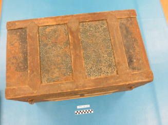 Trunk