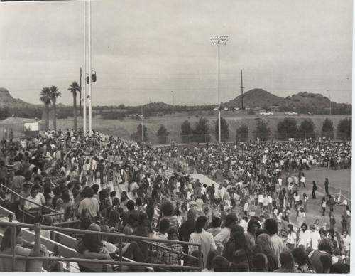 Concert goers