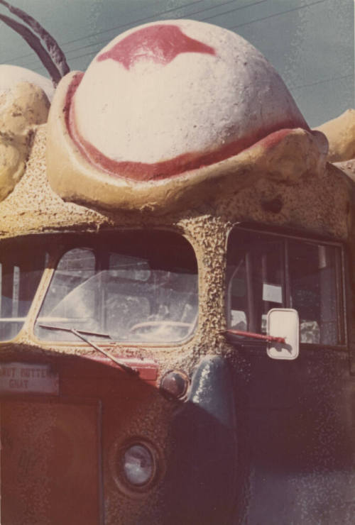 Left Front of a Bus with a "Bug Eye"