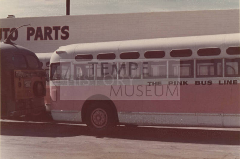 The "Pink Bus Line" Bus