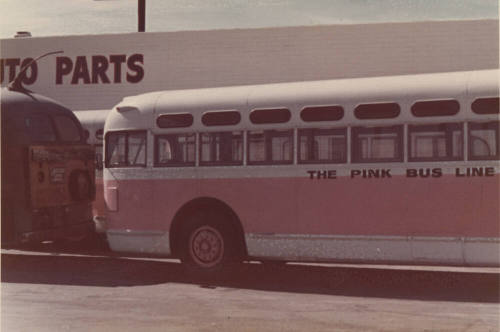 The "Pink Bus Line" Bus