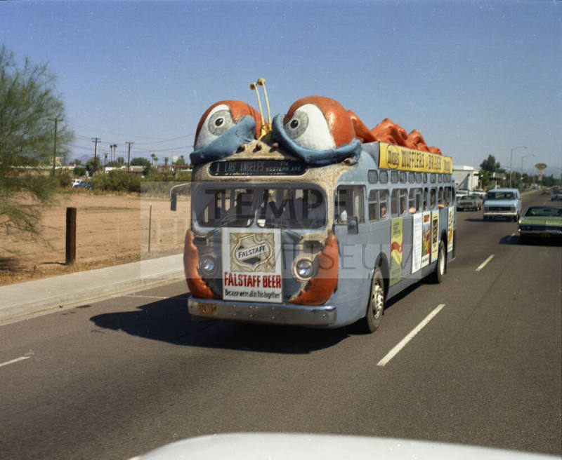 Color Photo Bug Line Bus
