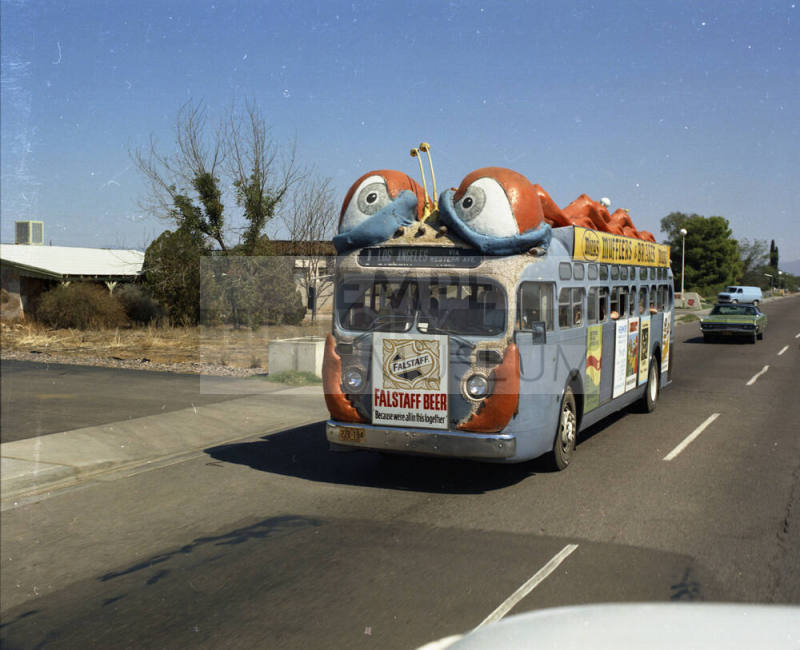Bugline Bus Photo