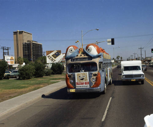 Bugline bus on the road