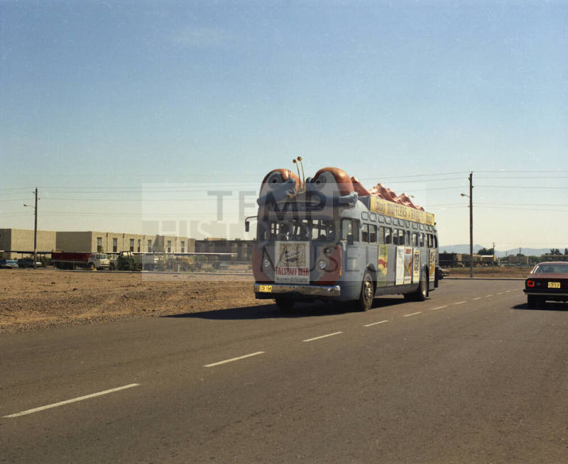 Bugline bus on road