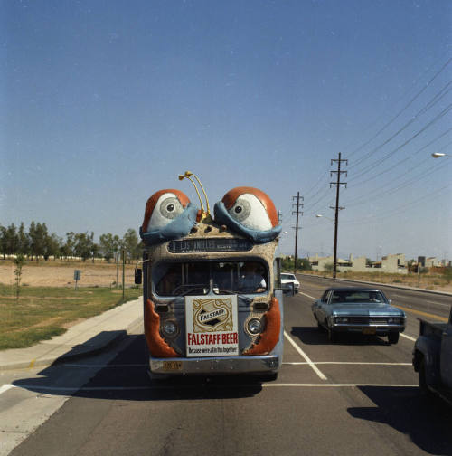 Bugline bus on road