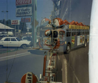 Bugline Bus on road