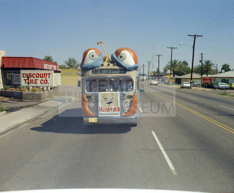 Bugline bus on road