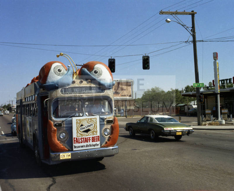 Bugline bus on road