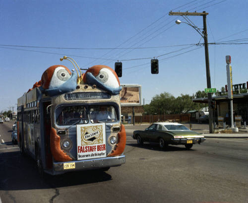 Bugline bus on road
