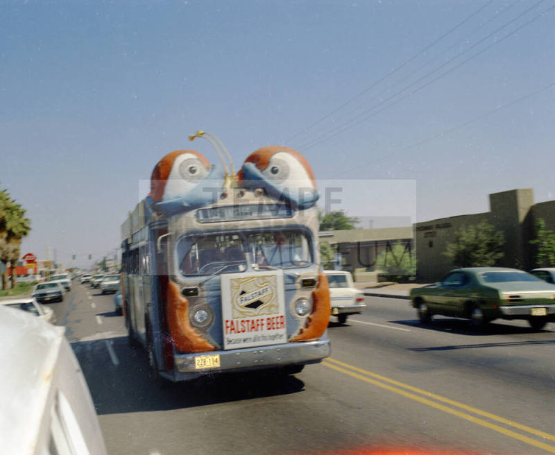 Bugline bus on road