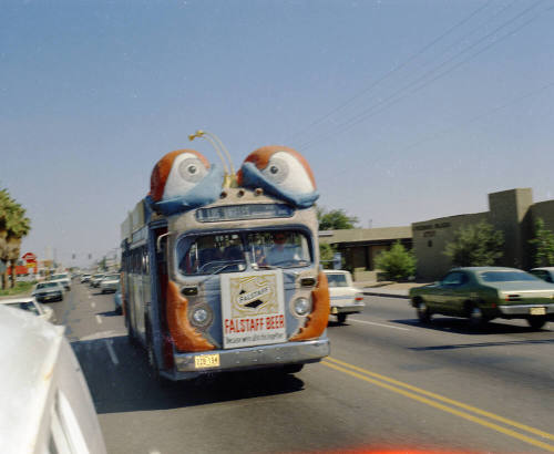 Bugline bus on road
