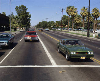 Bugline traffic photo